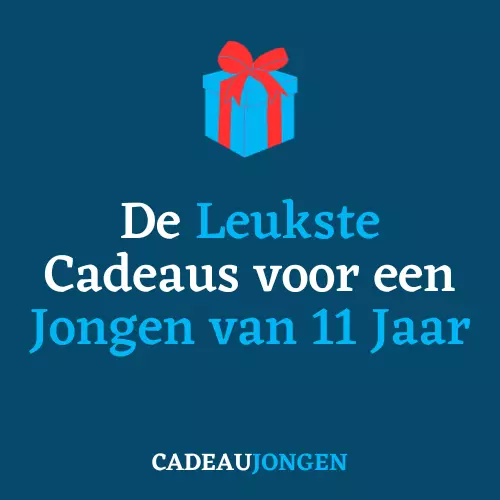 Cadeau jongen 11 jaar